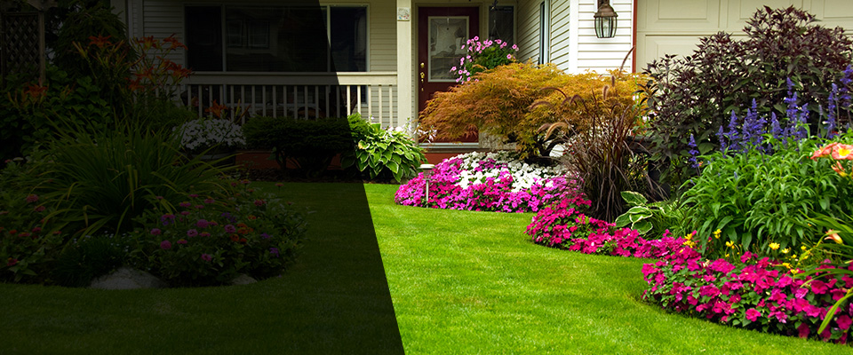 Elgin Landscapers